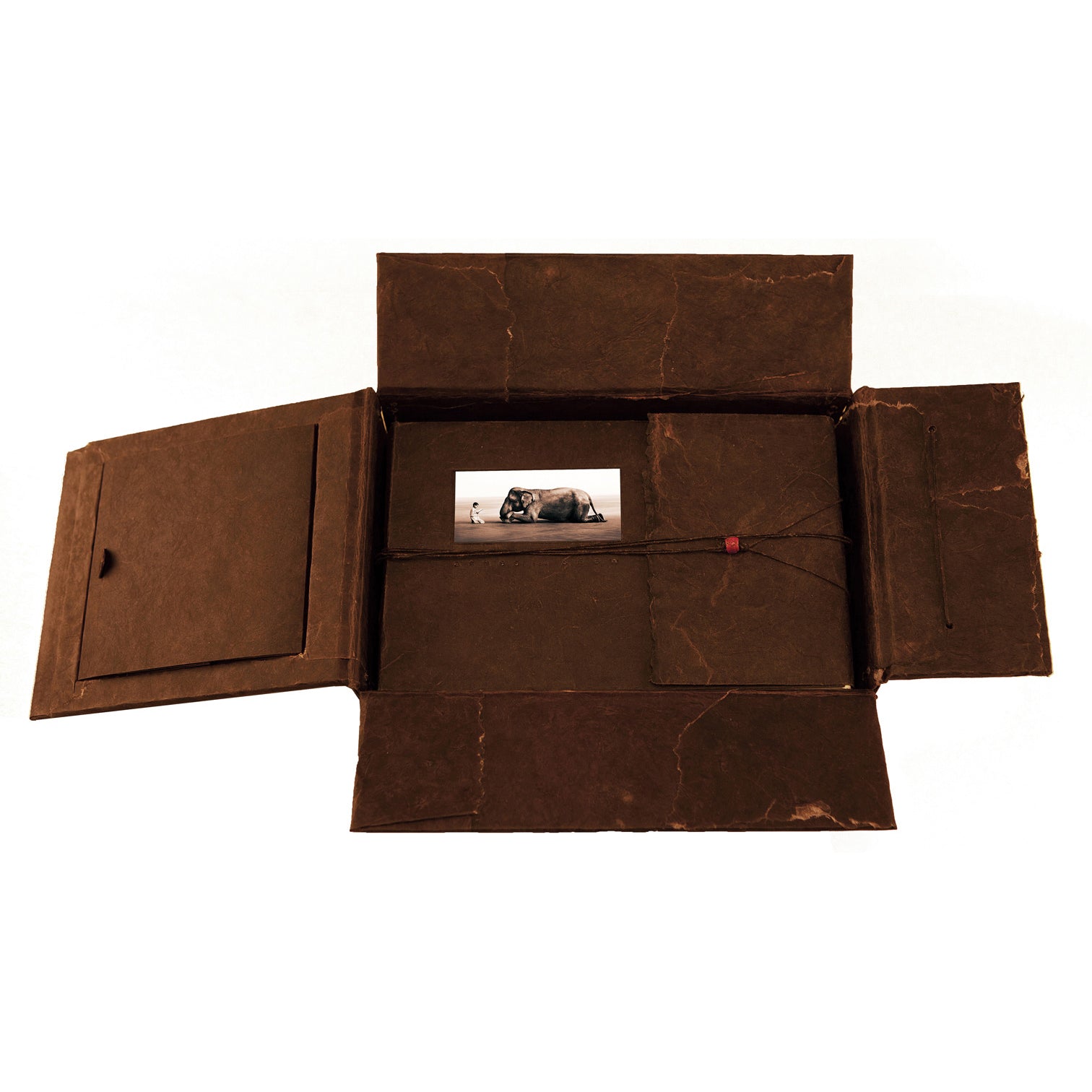 Ashes and Snow Special Edition Boxed Set