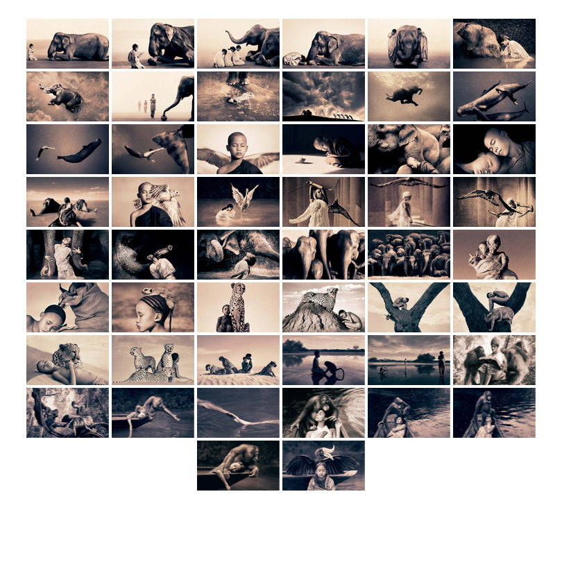 Selected Works: 1992–2005